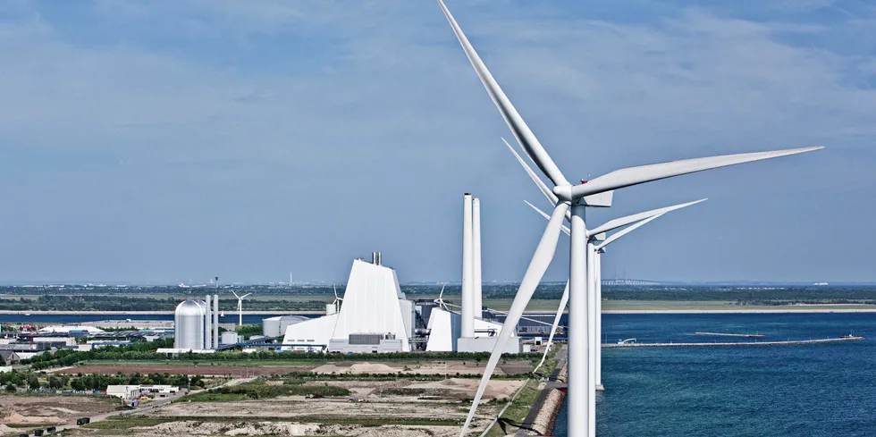 Avedore power station where H2RES had been built and Green Fuels for Denmark was set to be sited.