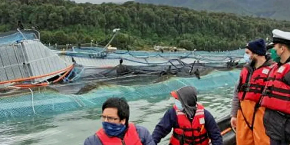 Chilean authorities are probing salmon farm storm damage at Camanchaca farm.