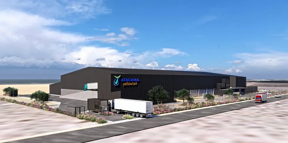 Atacama Yellowtail is a joint venture between private investment fund Best Potential, FDU, Inno-Sea, AquaMaof and Aleta.