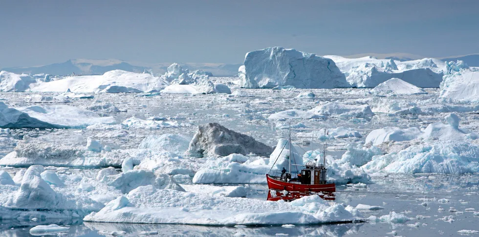 Work is being undertaken to update Greenland's policies on feed in order to enhance its fish meal and fish oil export opportunities.