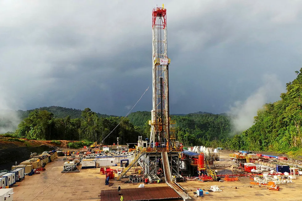 Feedstock: the Papua LNG project will commercialise the Elk-Antelope field