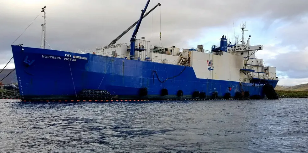 The Northern Victor is Icicle's processing facility in Dutch Harbor, Alaska.