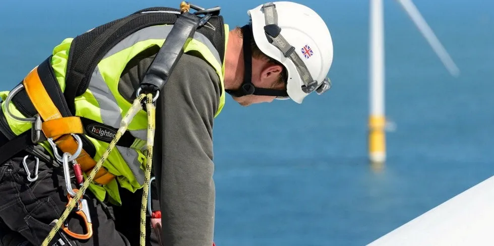 Wind at sea will be the sector's main growth engine.