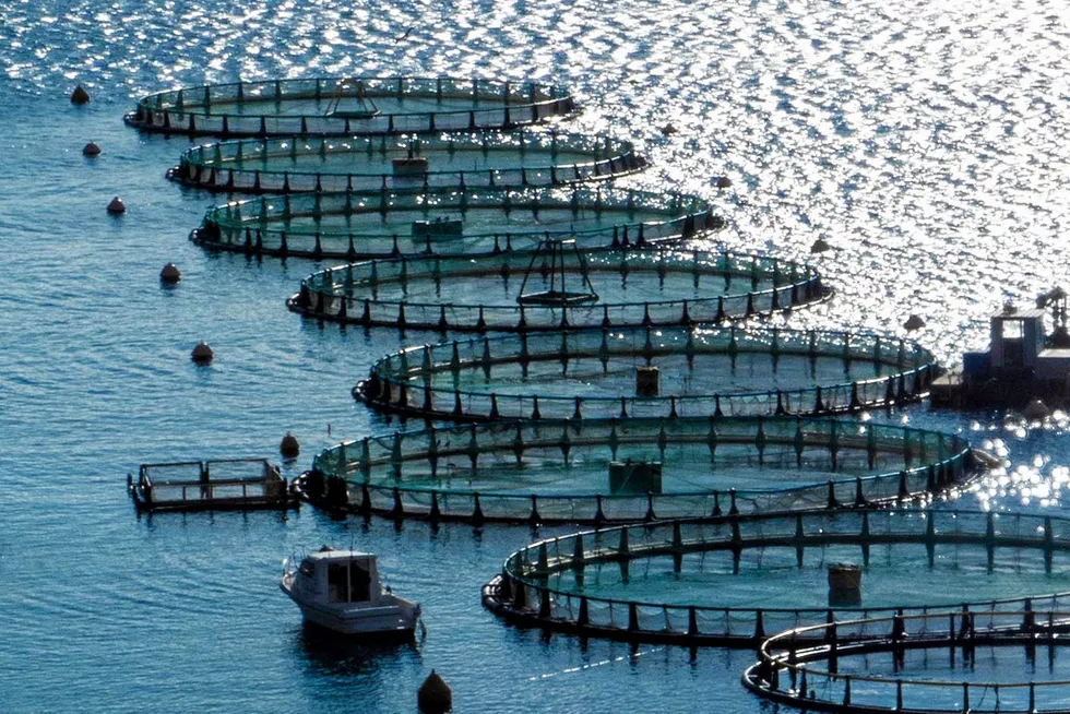 Avramar's new owner says the Greek bass and bream producer has "amazing capacity, amazing assets, amazing locations."