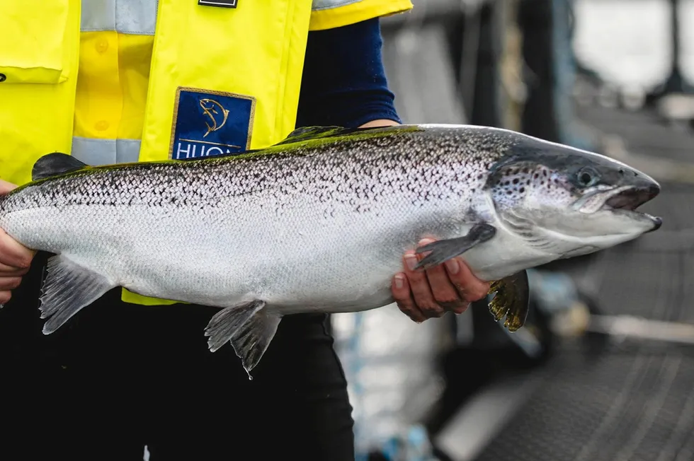 Huon Aquaculture is one of the biggest salmon farmers in Australia.