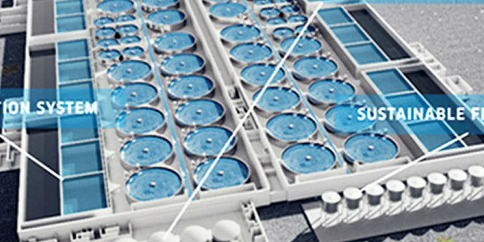 Pure Salmon: Incentives to grow.
