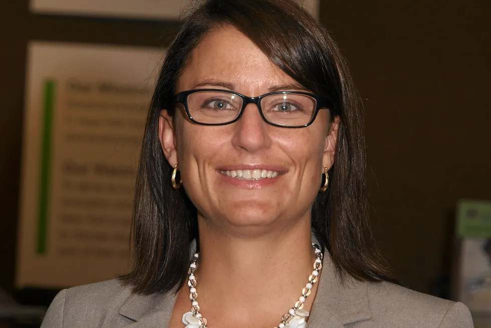 Nyserda CEO Doreen Harris