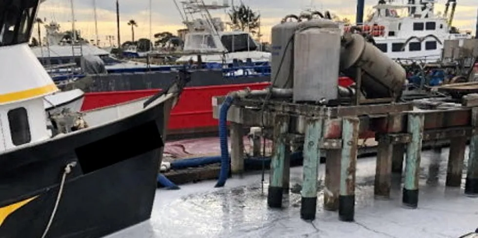 Silver Bay has offloaded illegal substances related to its squid fishing in California, according to the Ventura County District Attorney's Office.