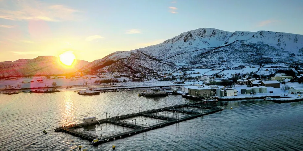 Alsvåg Lakseslakteri in the Øksnes commune in Norway's Nordland region. Platina and Hofseth have acquired the operation.