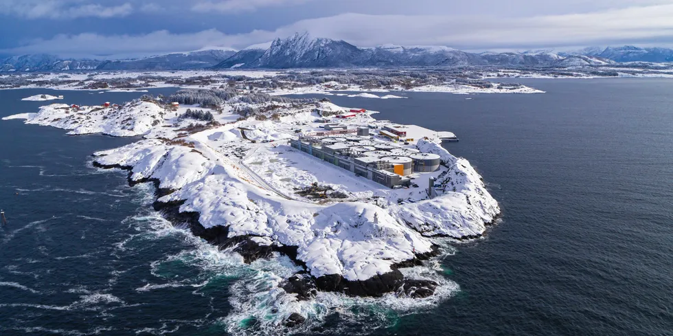 Salmon Evolution has harvested fish early at its Norway salmon facility.