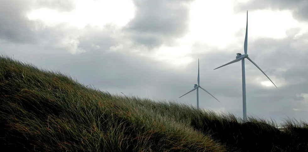 Vestas turbines.