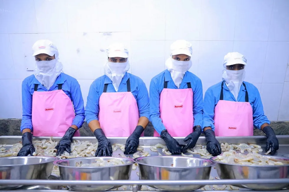 'A complete misunderstanding': Indian shrimp producer decries US ruling on duties