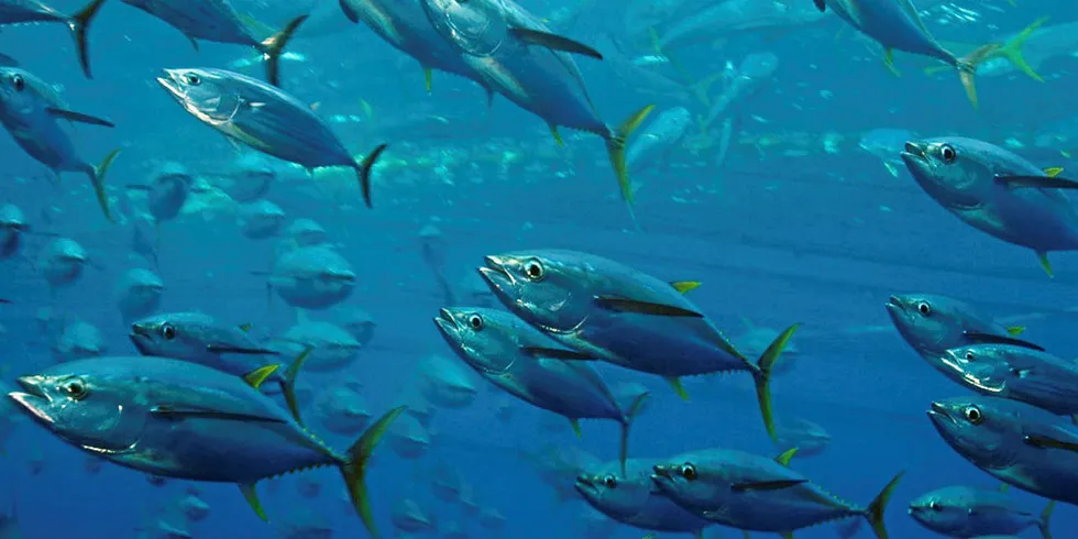 Mitsui is in the market for more seafood investment.
