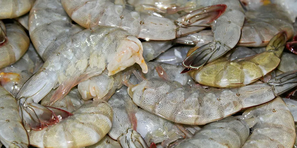 NaturalShrimp has been placed under quarantine over suspicion of a deadly virus.