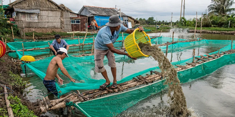 Stubbornly high US shrimp inventories have seen leading producing nations shipments to the US fall.