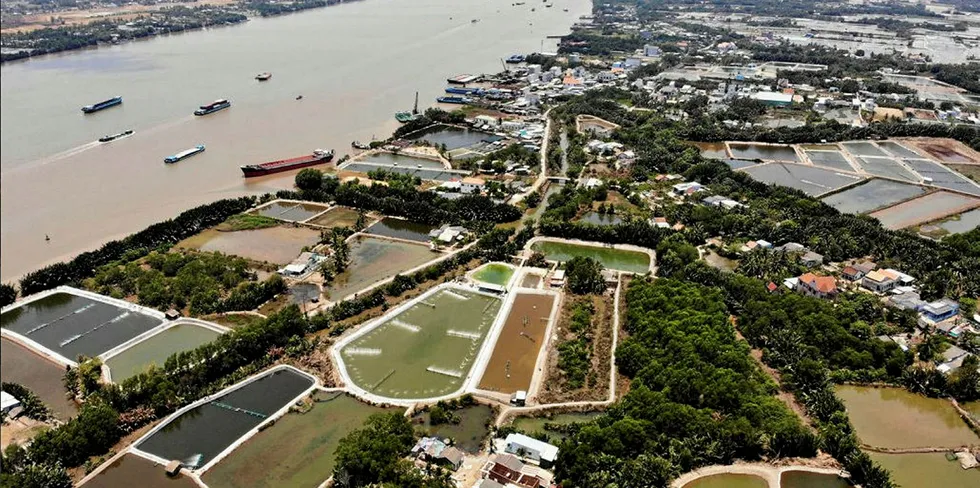 Vietnam shrimp farms.