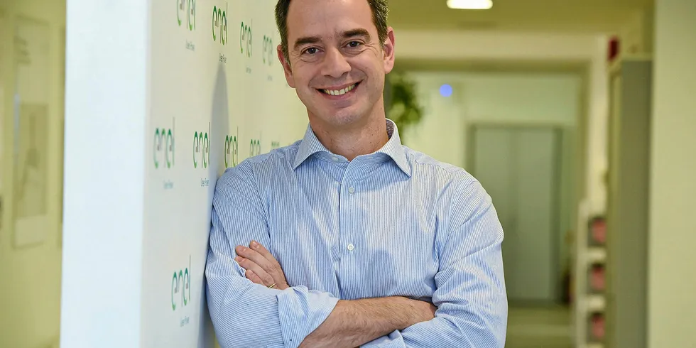 Enel Green Power North America chief executive Georgios Papadimitriou