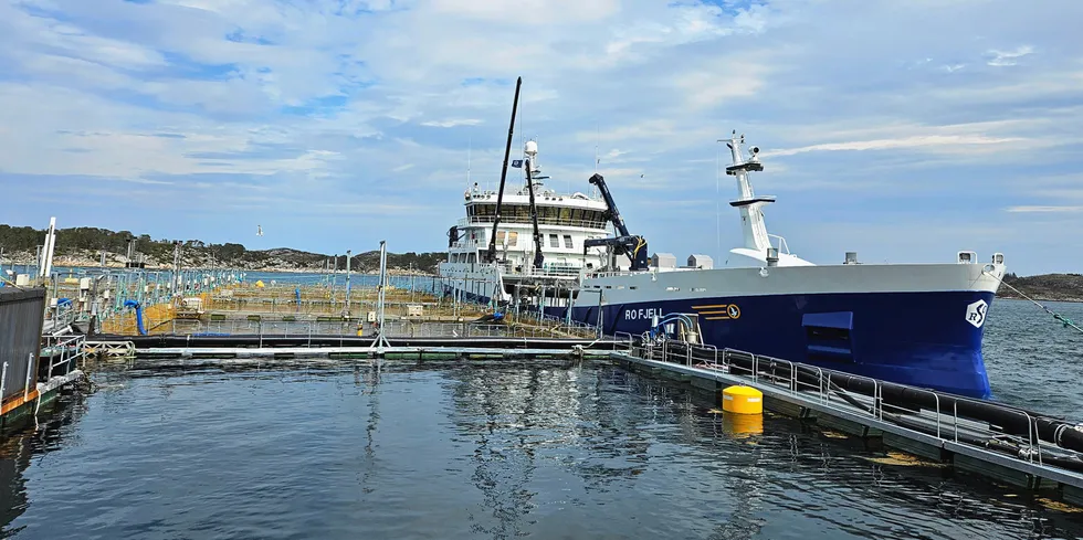 Have Norwegian salmon price reached the bottom?