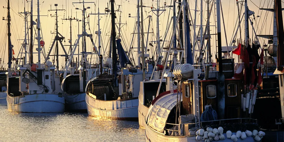 Agriculture, fisheries bankruptcies surge in Denmark.