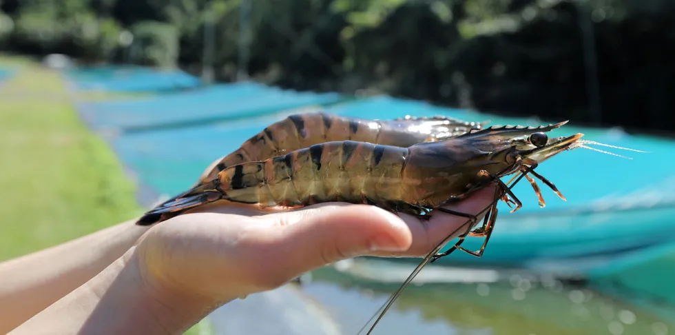 . Project Sea Dragon.
