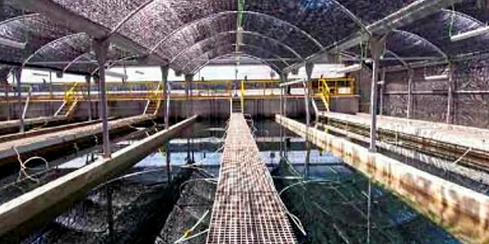 Cooke Aquaculture site hit by fire. Culmarex, Cooke Aquaculture.