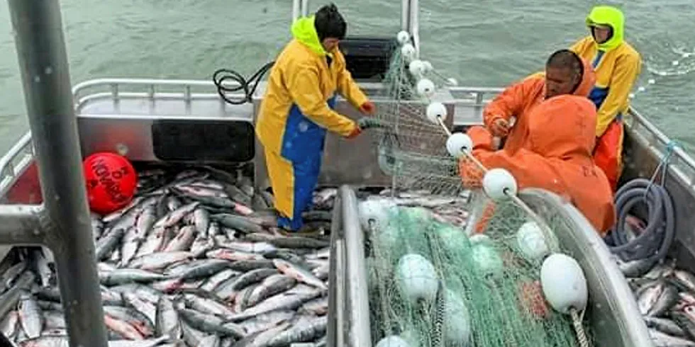 Bristol Bay fishermen not only had to deal with coronavirus concerns this year, but also with low prices and compressed runs.