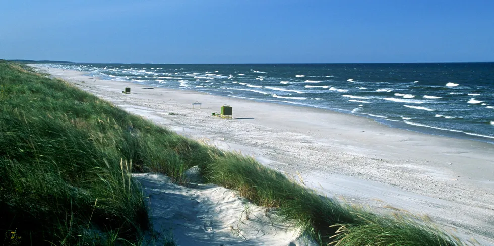 Beach at the Curonian Spit in Lithuania.