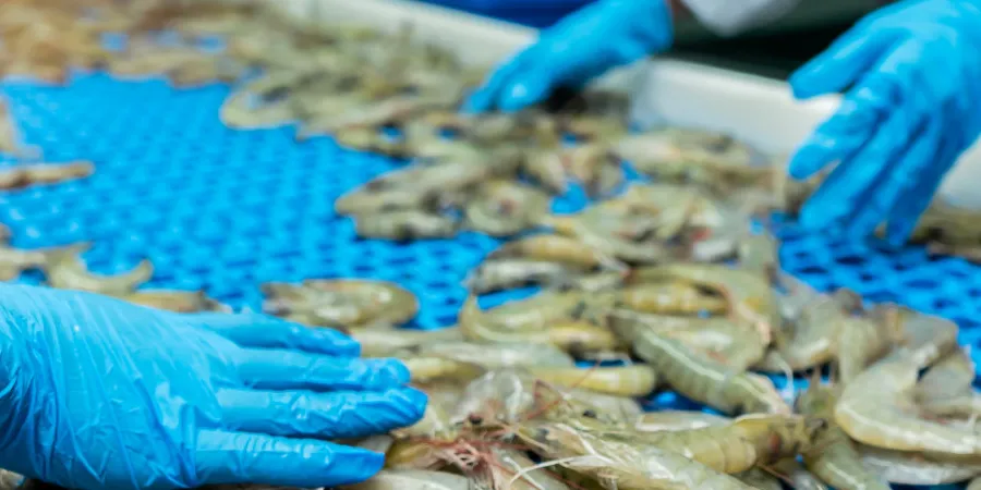 One lawmakers wants closer inspections of shrimp imports.
