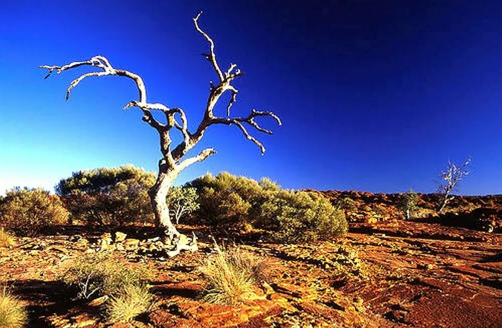 Outback appraisal: Beach and Cooper are drilling appraisal wells in South Australia