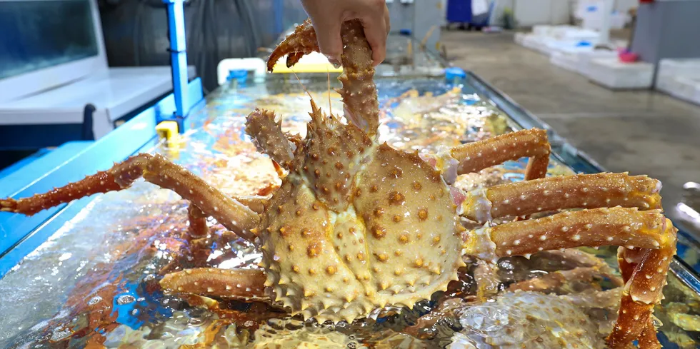 Shipping live crab to Asia from northwest Russia requires both retooled vessels and appropriate logistics solutions.