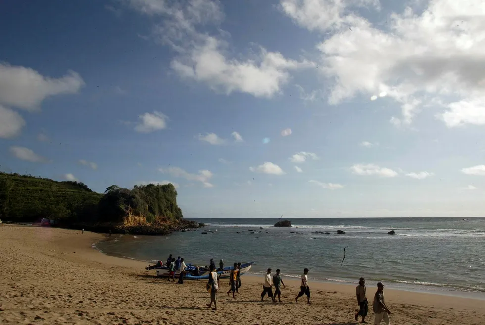 Offshore find: the Paus Biru-1 well lies off the coast of East Java