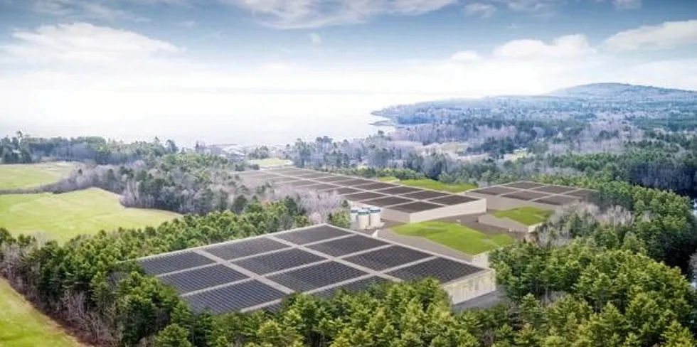 Long-planned land-based salmon projects in Maine have yet to get off of the ground. Pictured above: an illustration of Nordic Aquafarms' Belfast RAS overlooking Penobscot Bay.