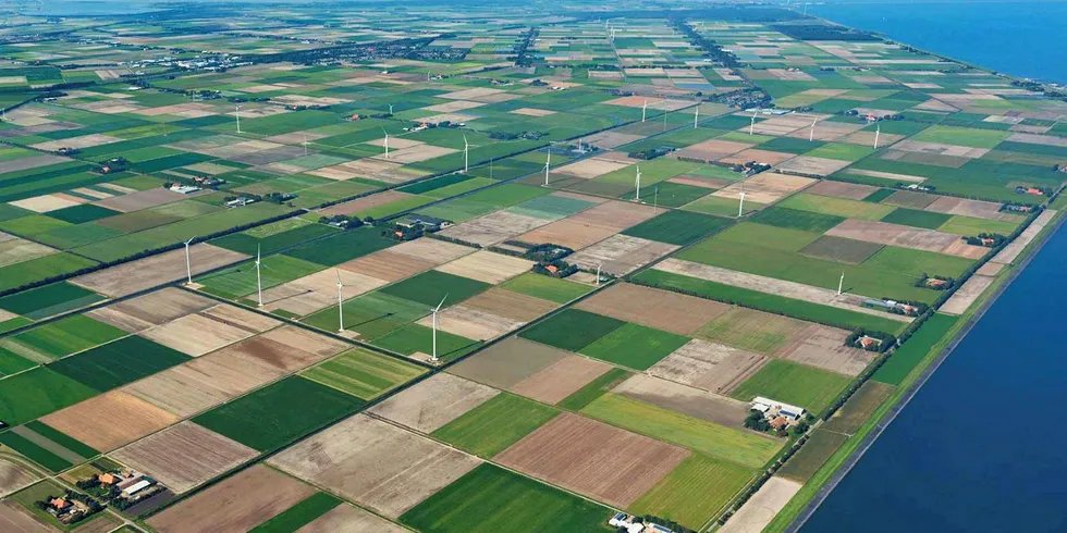 Vattenfall's Princess Ariane wind farm in the Netherlands.