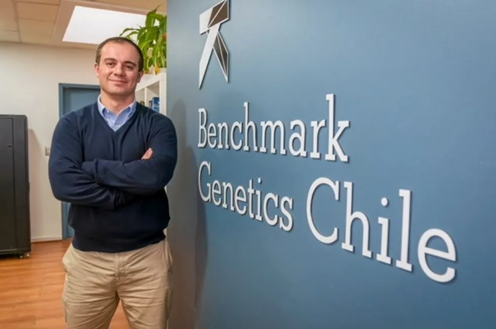 Juan Pablo Ramirez Torrealba is the new general manager at Benchmark Genetics Chile.