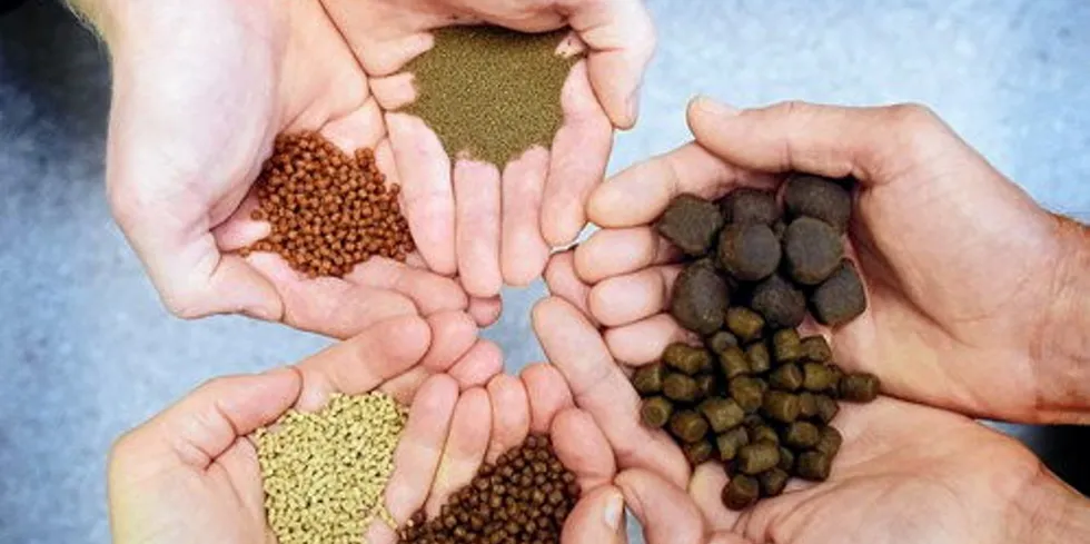 Aquaculture producers are looking to use higher levels of alternative feeds in their operations.