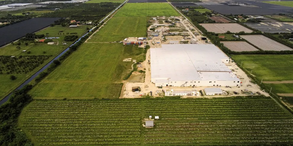 Atlantic Sapphire's facility in Miami experience a mass mortality event on Tuesday.