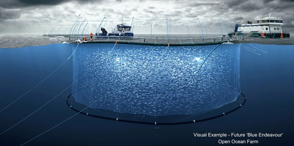 Blue Endeavour, when fully operational, could generate NZD $300million in new revenue per annum.