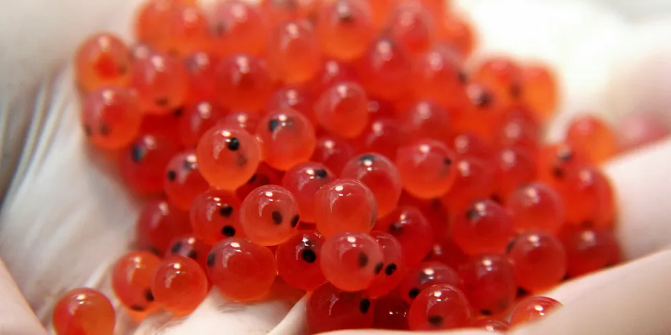 Two leading salmon egg producers are joining forces.