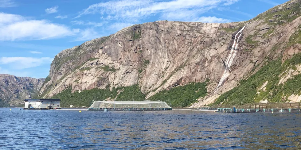 . The Gorge salmon farming site operated by Mowi in Newfoundland and Labrador.