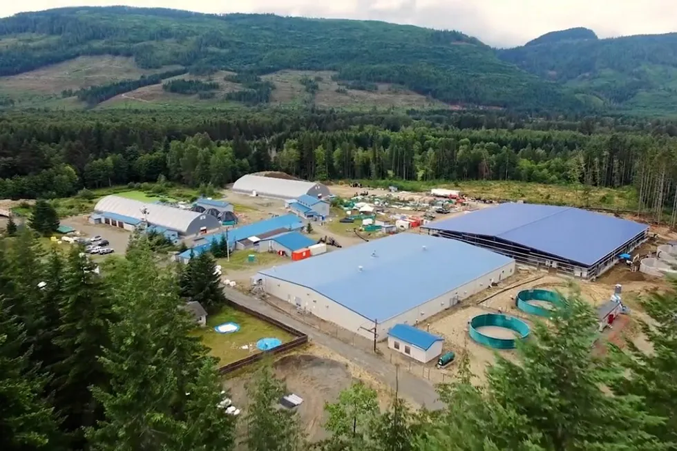 Mowi Canada West has been awarded a nine-year license from DFO to operate some hatcheries in British Columbia.