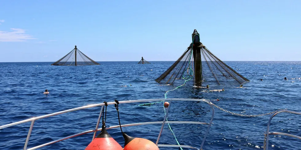 Offshore aquaculture in the United States has been slow to take off.