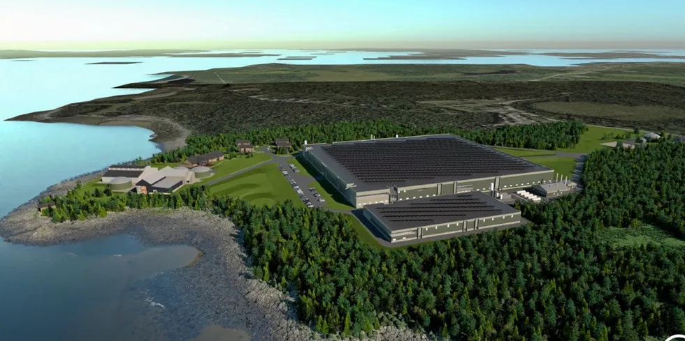 All systems go for The Kingfish Company's new land-based farm in Maine.