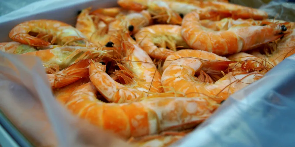 Frozen vannamei shrimp.