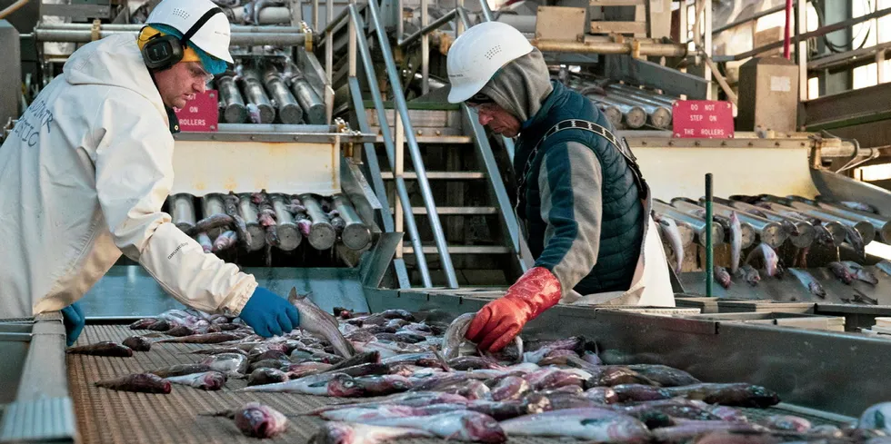 Decisions are currently being made over the Alaska pollock fishing quota.