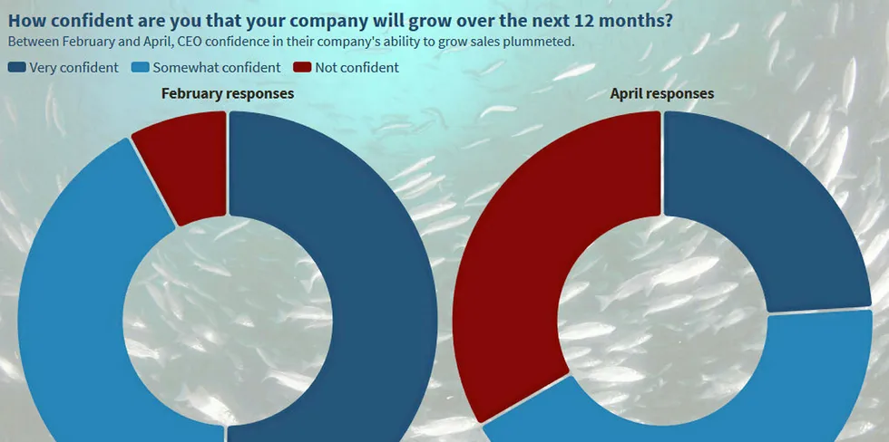 Seafood executives are less positive about the future, no doubt, but there is still large believe in the industry, with plans to invest and expectations of increased M&A activity.
