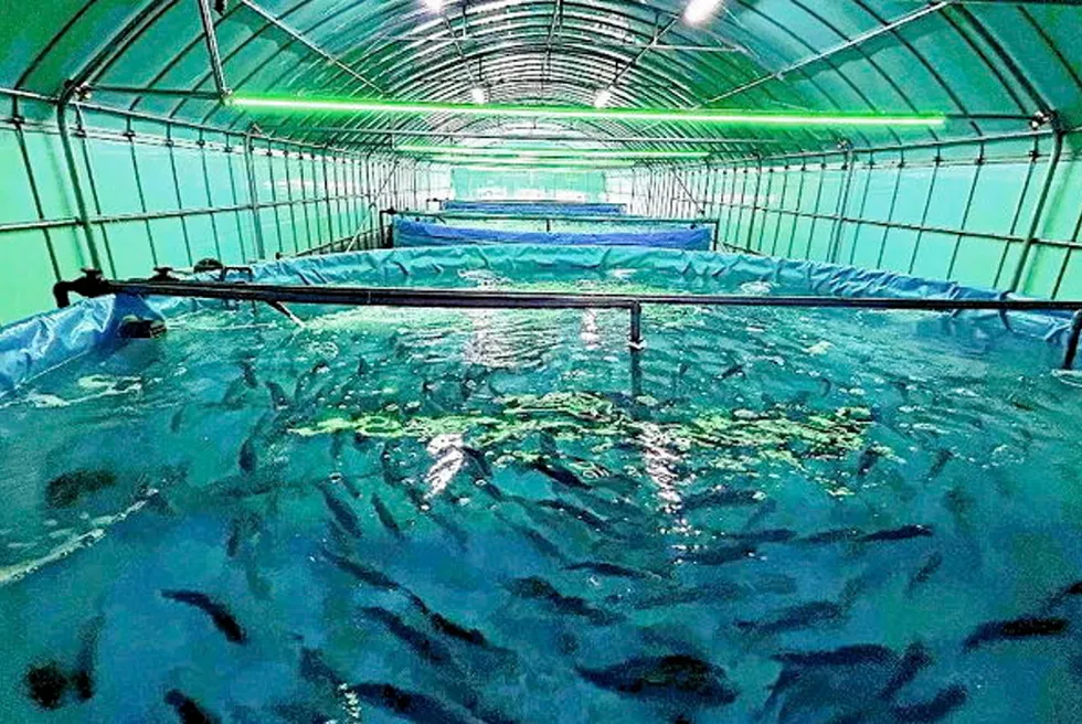 JR Shikoku's first six tanks are located in the central part of the southern Japanese island of Kyushu.