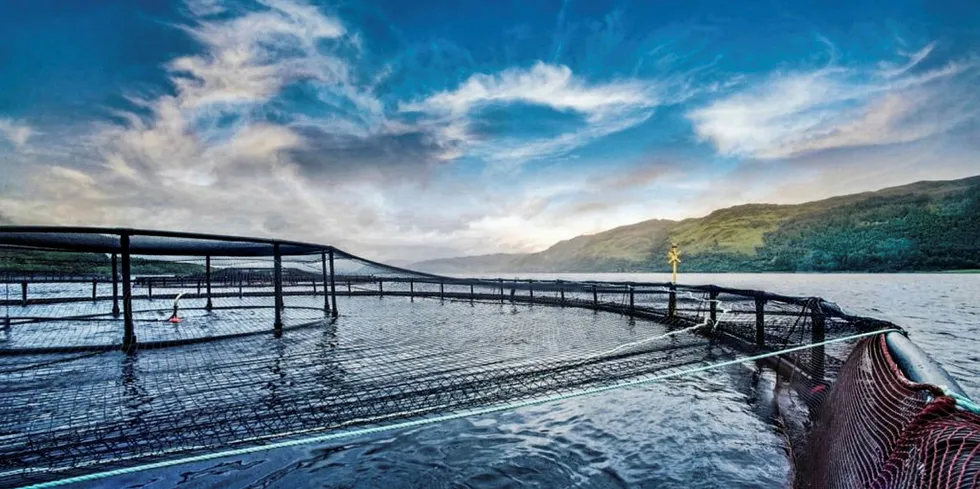 Scottish Salmon Farm, Scotland.