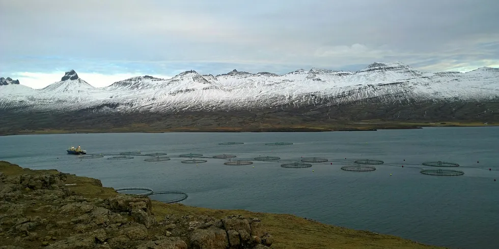 A fish farm in Djúpivogur, Sudur-Mulasysla, Iceland.