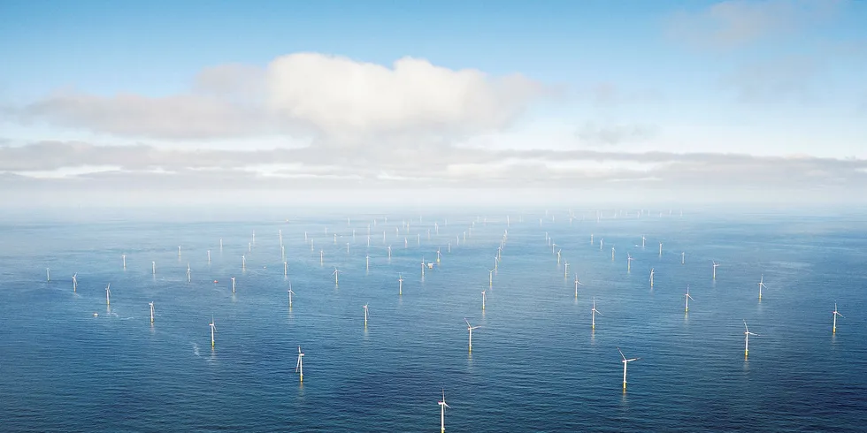 Orsted is diversifying in renewables beyond its core offshore wind technology.