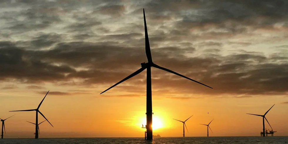 Siemens Gamesa 7MW machines at the UK's Walney Extension are among the largest operating in the industry.